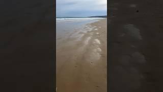 Beach Walk On a Stormy Day #beach #australia #mindset #inspiration #life #shorts