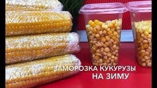 Заморозка кукурузы на зиму заготовки заморозка продуктов