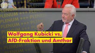 Irrer AfD-Antrag Wolfgang Kubicki räumt auf