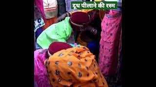 दूध पिलाने की रस्म #shorts #viral #youtubeshorts #indianwedding