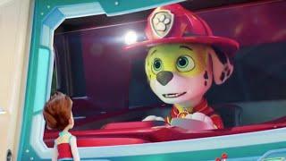 Marshall From Paw Patrol Isnt A Fan Of The Mandate