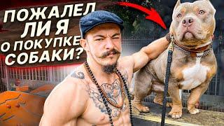 ПОЖАЛЕЛ ЛИ Я О ПОКУПКЕ СОБАКИ СПУСТЯ 2 ГОДА?