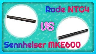 Rode NTG4 vs Sennheiser MKE600 - Direct Comparison