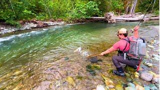 We Rescued the OLDEST Living Fish ON THE PLANET Fly Fishing Small Creeks