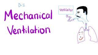 Mechanical Ventilation - Most COMPREHENSIVE Explanation 