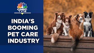 Indias Pet Care Industry Is Set To Touch ₹10000 Cr By 2025  N18V  CNBC TV18