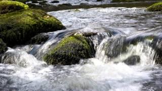 Gentle Stream Sounds  Flowing Water  Relax Sleep Study Meditation