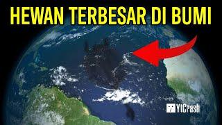 DISEBUT DALAM AL QUR’AN DAN AL KITAB IBRANI INILAH HEWAN TERBESAR DI BUMI - LEVIATHAN