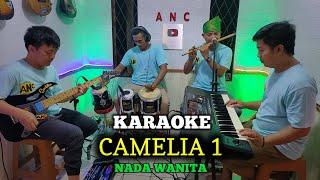 CAMELIA KARAOKE RHOMA IRAMA NADA WANITA