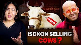 Is ISCKON Selling Cows To Butchers?  Reality Of Cows In India