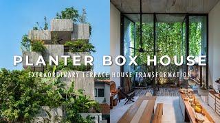 The Planter Box House  Malaysia’s Extraordinary Homes  Award Winning Architecture  Transformation