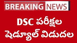 DSC పరీక్షల షెడ్యూల్ విడుదల 2024  TS DSC EXAM SCHEDULE Released