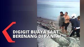 Warga Digigit Buaya Saat Berenang di Pantai BKSDA Habitat Buaya Semakin Sempit