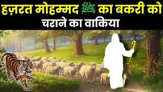 हज़रत मोहम्मद ﷺ का बकरियों को चराने का वाकिया  नबी के बचपन का मोजिज़ा  Noore hadees