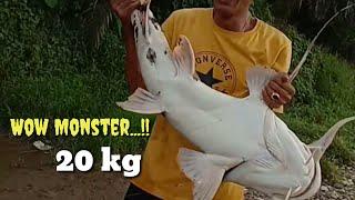 Wow.. Mancing baung terbesar  Big Monster fish catch 20 kg