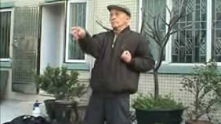 Paau Fa Lin Wing Chun 刨花蓮詠春 Gwok Gaai sifu