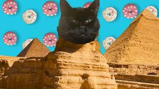 Black cat pyramids and donuts 