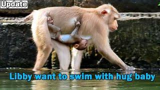 Baby monkey Rainbow very scare drowning water by hard tight hug mom Libby Poor baby very scare