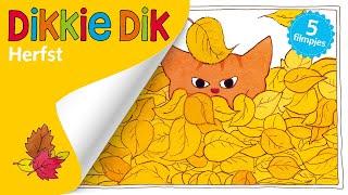 De Herfst in met Dikkie Dik  Compilatie  Voorleesverhalen voor Kinderen