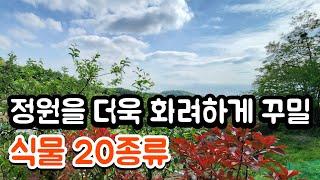 정원을 더욱 화려하게 꾸밀 식물 20가지