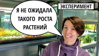 8 ПРАВИЛ ГОЛЛАНДСКОГО АКВАРИУМА  ЭКСПЕРИМЕНТ - АКВАРИУМ ТОЛЬКО НА МЕРИСТЕМЕ  ФИЛЬТР OASE BioMaster