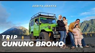 ROAD TRIP JAKARTA BROMO DENGAN BALITA  WISATA GUNUNG BROMO  LIBURAN KELUARGA