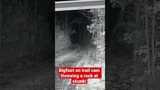 Bigfoot on Trail Camera Throwing a Rock at a Skunk  Squatch Watchers Short Rewind