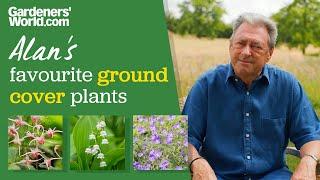 5 ground cover plants I LOVE  Alan Titchmarsh