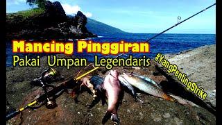 Mancing Pinggiran  Umpan Mancing Legendaris Anti Boncos  Mancing Pakai Umpan Kelomang