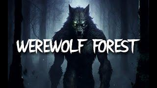 WEREWOLF AMBIENCE  3 HOURS OF SPINE CHILLING AMBIENCE  FOR D&D STORYTELLING WORK STUDY