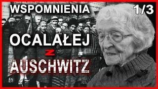 I survived Auschwitz-Birkenau - the last conversation with the eldest witness - part 1
