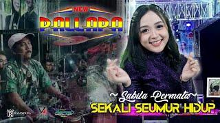 SEKALI SEUMUR HIDUP - SABILA PERMATA Ft NEW PALLAPA Live Pekalongan 2022