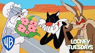 Looney Tuesdays  Who is the Greatest Trickster?  Looney Tunes  WB Kids