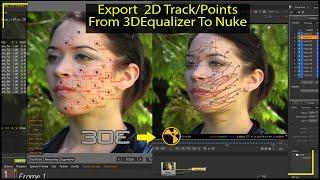 Export 2D Track Points From 3D Equalizer To Nuke  3DEqualizer To Nuke 2D Points Export