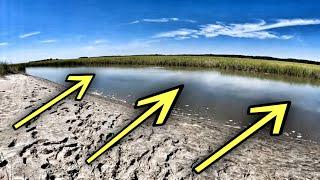 fishing TIDAL CREEKS for a delicious lunch... catch clean cook whole flounder