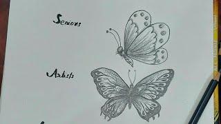 Butterfly drawing