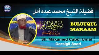 D 3aad  Buluuqul maraam  Sh Maxamed Cabdi Umal