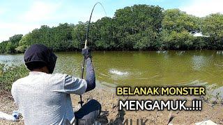 SADIS BENER. belanak monster mengamuk‼️ mancing ikan belanak