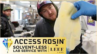 Solvent-less Lab Service with LEEF LABS  Access Rosin®
