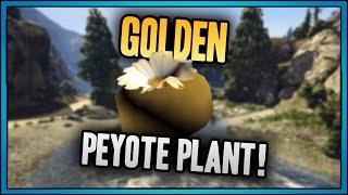 GTA 5 7 Golden Peyote plants found and location.