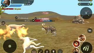 The cheetah 100k Max Level Account and Game play