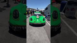 Rexy Porsche in the sunlight ️