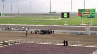 Turkmen President Falls Off Horse Media Silent