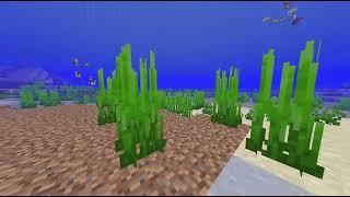 Marine Ecosystem - Minecraft