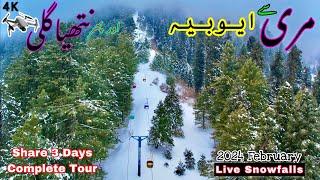 MURREE GPO To Nathia Gali  Ayubia chairlift Live snowfalls Tour’s 3 Day Complete Details video
