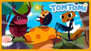 Lets Go Insect Rangers  Insect Song  Insect Comics  TOMTOMI Songs for Kids