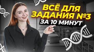 ВСЯ ТЕОРИЯ задания №3 для ЕГЭ по биологии за 10 минут  Умскул