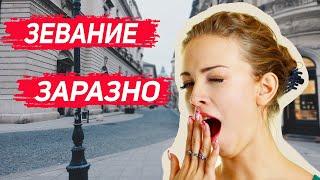 А вы ЗНАЛИ что зевание заразно?