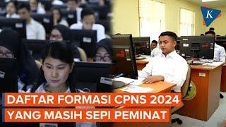 Simak Daftar Formasi CPNS 2024 yang Masih Sepi Peminat