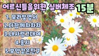 15분어르신들을위한실버체조